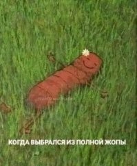 как правело там собираются отборные ОТБРОСЫ и <span style='color:gray'>[мат]</span> - после того как они шарят всю неделю по СТО  в поисках покрышек - которые кто то выкинул - чтоб потом поставить на свои БМВ для ДРЫСТА)))))   после дрыста они потом прячатся НЕДЕЛЯМИ на СТО у знакомых <span style='color:gray'>[мат]</span> и чинят - починяют свои старые БМВ своими руками и из БЫУЩНЫХ ЗАПЧАСТЕЙ   -  чтоб опять поехать на ДРЫСТ!    

это просто уё6ки неполноценные!

1.чтоб заниматься ДРИФТОМ =нужно очень много денег! и  специальную машину (переделанную под это)  
2. комплекты специальной резины = это тоже дорого   (отбросы собирают резину на мусорках СТО   для своего ДРЫСТА)))
3. этим занимаются на спец трассах для соревнований или для Спорт по катушек)  за это тоже нужно платить ДЕНЬГИ.

а эти ОТБРОСЫ и ХАЧИ   на Авто-Хламе  30-ти летней СВЕЖЕСТИ -БМВ - от выпуска -  ДРЫСТЯТ  в пределе ГОРОДА - что делать НЕЛЬЗЯ.