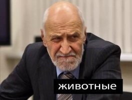 В прямом эфире была передача "В мире БОЛЬНЫХ животных".