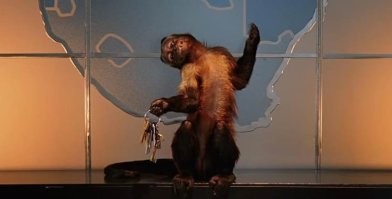 напомнило )