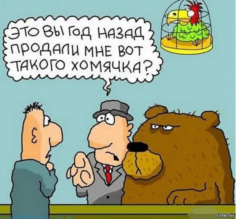 Милота дня: в США семья приютила маленького потерявшегося медвежонка и он выр...