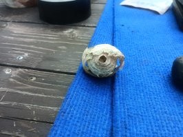 Свежие кубики