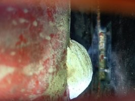 Свежие кубики