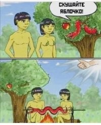 Скрины из соцсетей