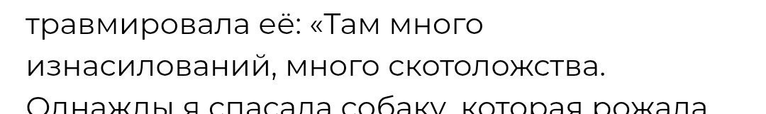 Тёмная сторона Египта: туристка спасла собак из концлагеря