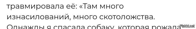 Тёмная сторона Египта: туристка спасла собак из концлагеря