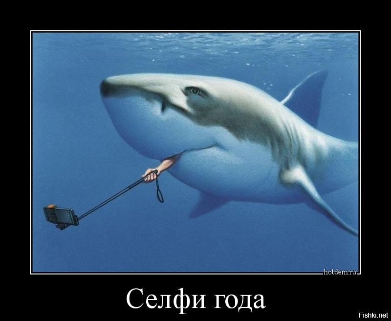 Чудак попытался сфотографироваться у пропасти и потерпел неудачу