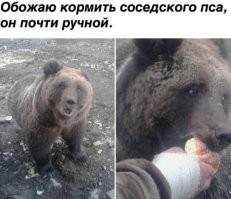 Новый друг туристов в Приморье