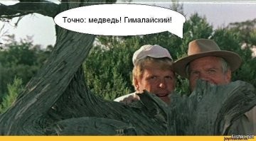 Новый друг туристов в Приморье