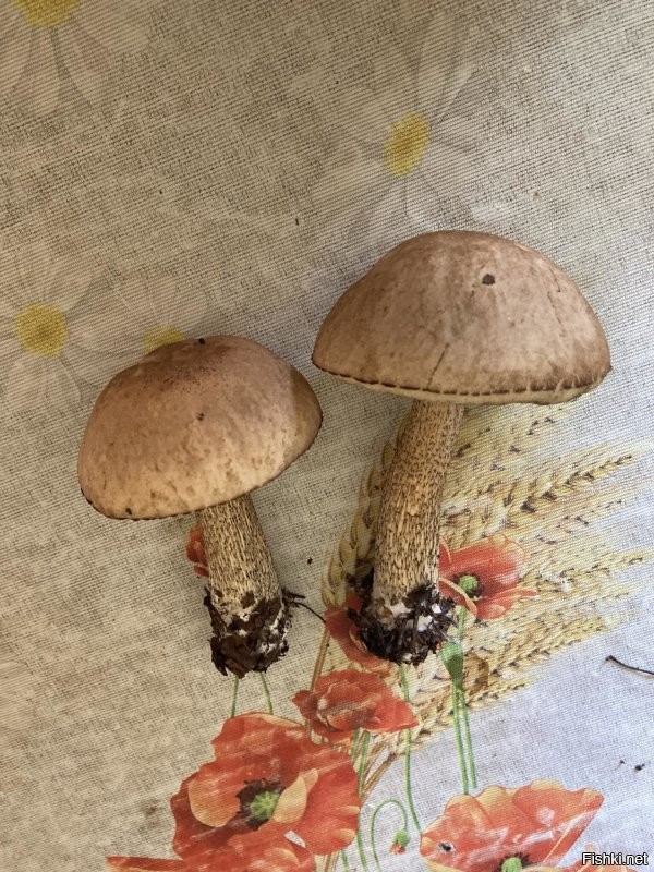 Доброе утро