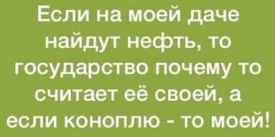 Россиянин сажал на участке помидоры, а выросла конопля