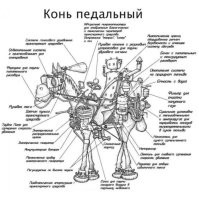 Это "концепции" тысячелетий... 

Опять молодёжь "твёрдое жидкое мыло" придумала.