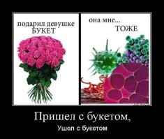 Девушка рассказала историю со своей работы