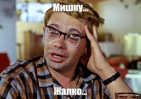 В США мужчина принял медведя за грабителя и застрелил его из автомата