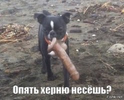 зачем ты всё перемешал? тупо подгоняешь факты, под обстоятельства! не будет врач этим заниматься , и полиция не будет, пока не заведено дело,