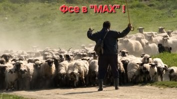 Google Meet под прицелом: в Госдуме намекают на блокировку