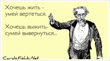 Необычная схватка: лиса сумела увернуться от сокола три раза подряд