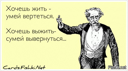 Необычная схватка: лиса сумела увернуться от сокола три раза подряд