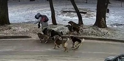 Да, друзья, которые в случае чего не побрезгуют сожрать человека.
Нахер таких друзей.