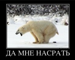 Вейпы на выход: как Нижегородская область станет "антипаровой" зоной