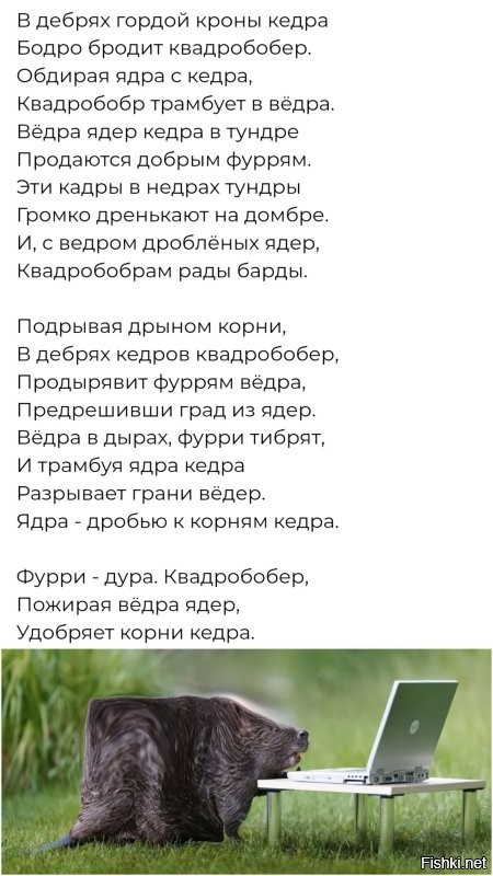 В Абу-Даби открыли зоопарк с человеческим лицом