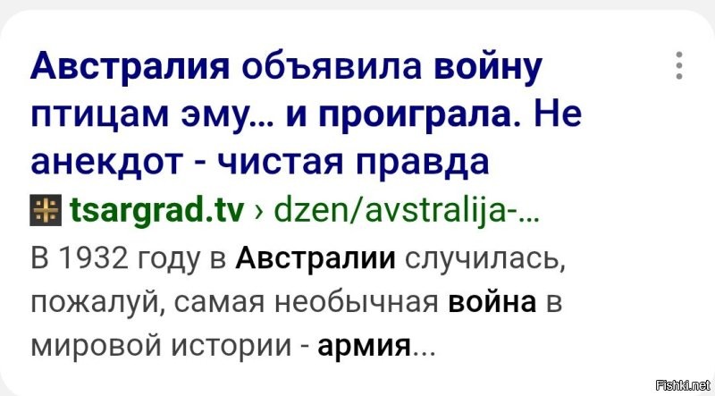 Страусам нужно брать пример со своих австралийских родственников.