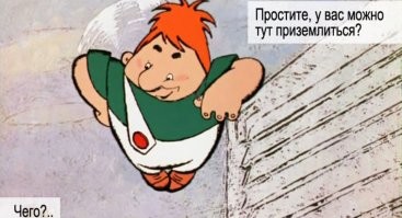 Сова села на шляпу