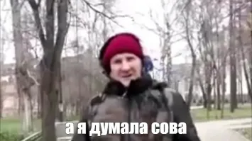 Сова села на шляпу