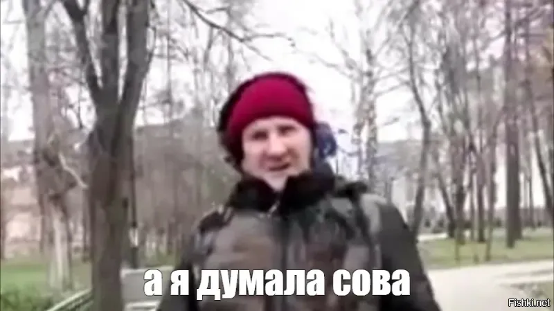 Сова села на шляпу