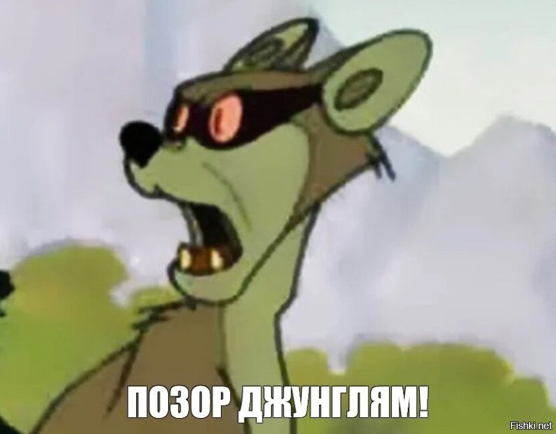 Адам Кадыров получил новую медаль