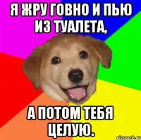 В соцсетях осудили кореянку, которая дала собаке облизать лицо