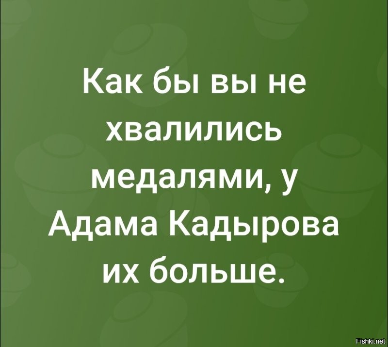 Адам Кадыров получил новую медаль