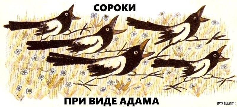 Адам Кадыров получил новую медаль