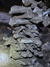 Сыро,
Грязно,
Безобразно,