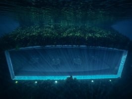 Со стороны рыб фотки поинтереснее.