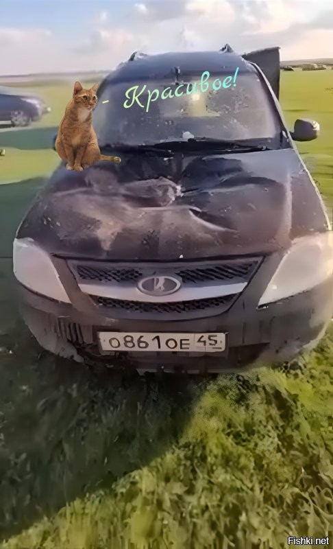 Эксперимент на отдыхе: что будет, если положить патрон в арбуз