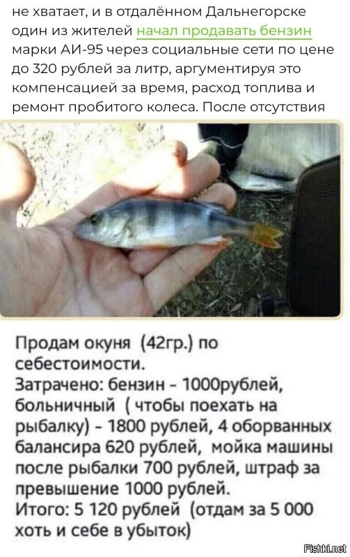 "Продам АИ-95": в Приморье спекулянты взвинтили цены на бензин