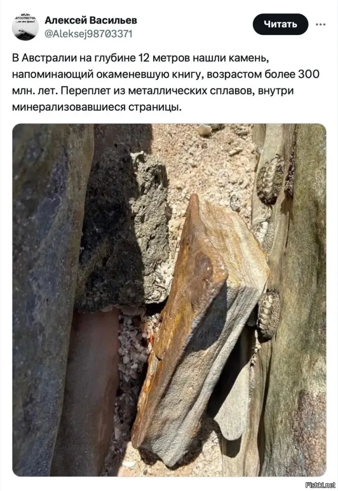Так это же ж окаменевший шматок сала!