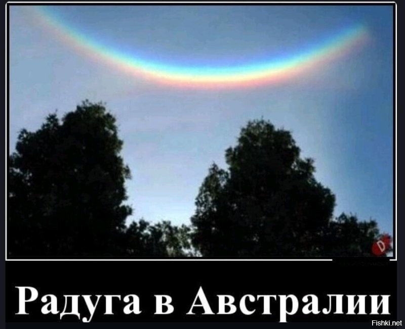 Солянка от 26.08.2025