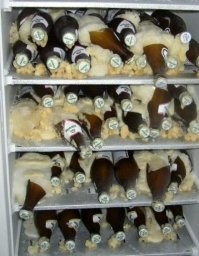 Прикольные демотиваторы 