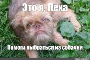 В сети набирает популярность собачка с грустным человеческим лицом