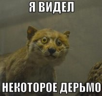В сети набирает популярность собачка с грустным человеческим лицом