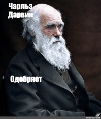 Один человек одобряет.