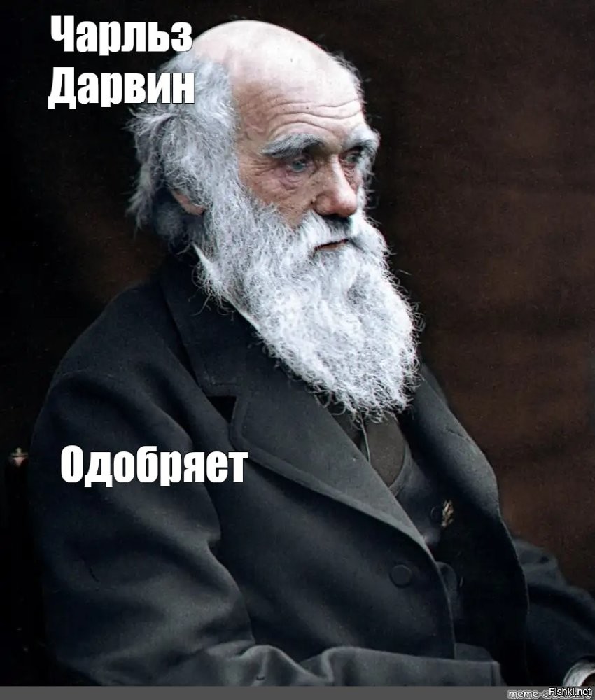 Один человек одобряет.