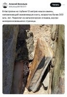 А окаменелое сало они там рядом не нашли до кучи?