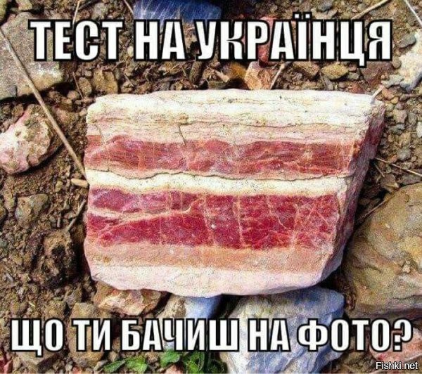 А окаменелое сало они там рядом не нашли до кучи?
