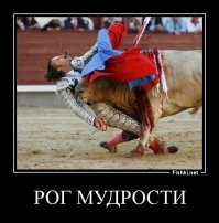 Бык убил молодого тореадора во время его первого выступления