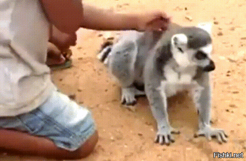 Давай ещё гладь!