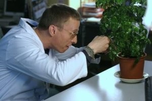 Необычное растение в этом посте только одно...