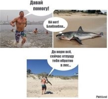 Ох, нелегкая эта работа — из болота тащить обормота!