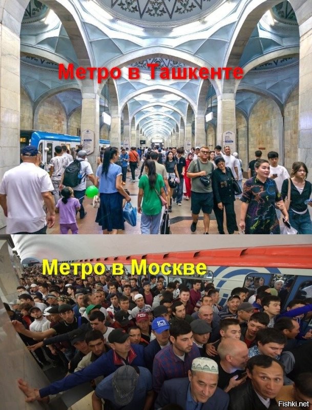 В Московском метро мигрантка ударила контролёра